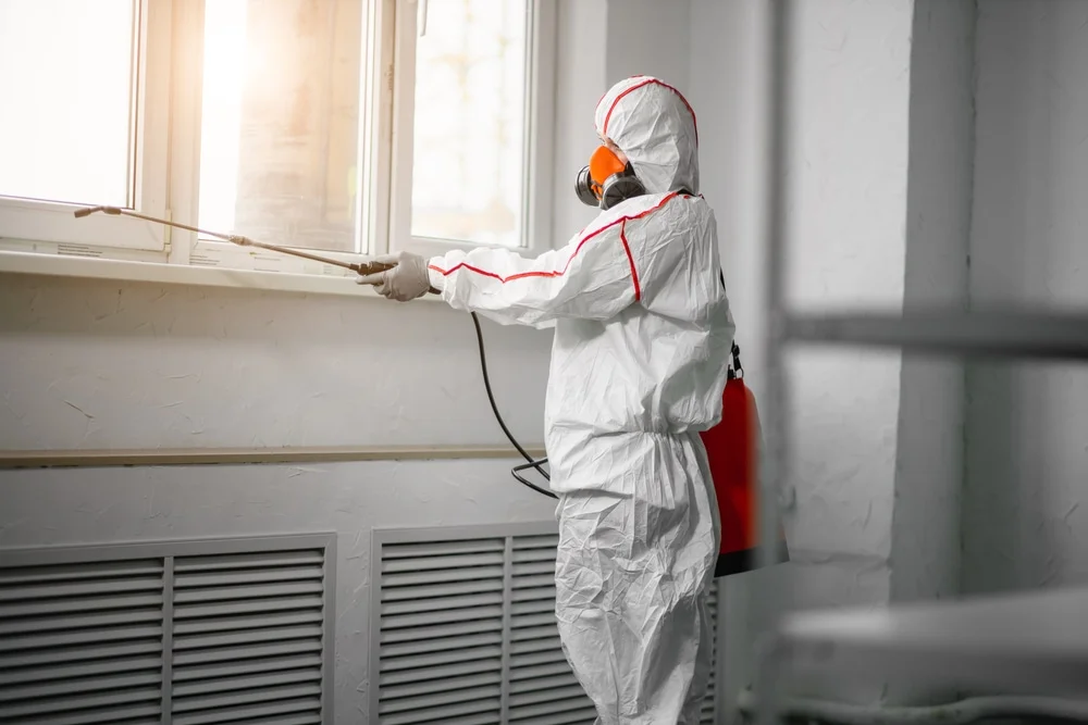 Professional mold remediation services in North Zulch, TX